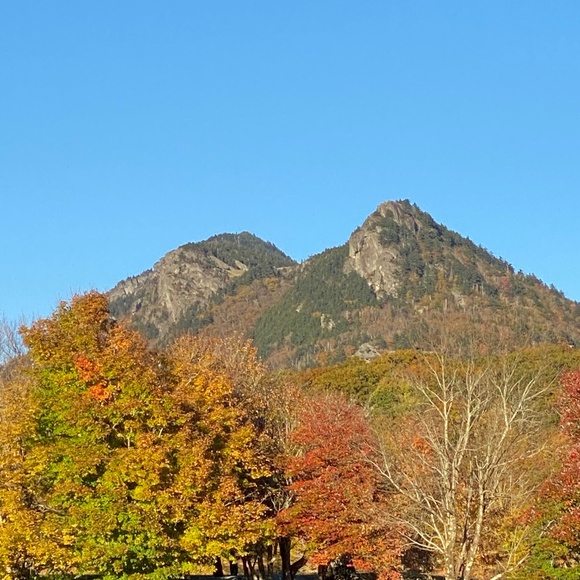 Meet your Posher, Beth - Picture 1 of 1